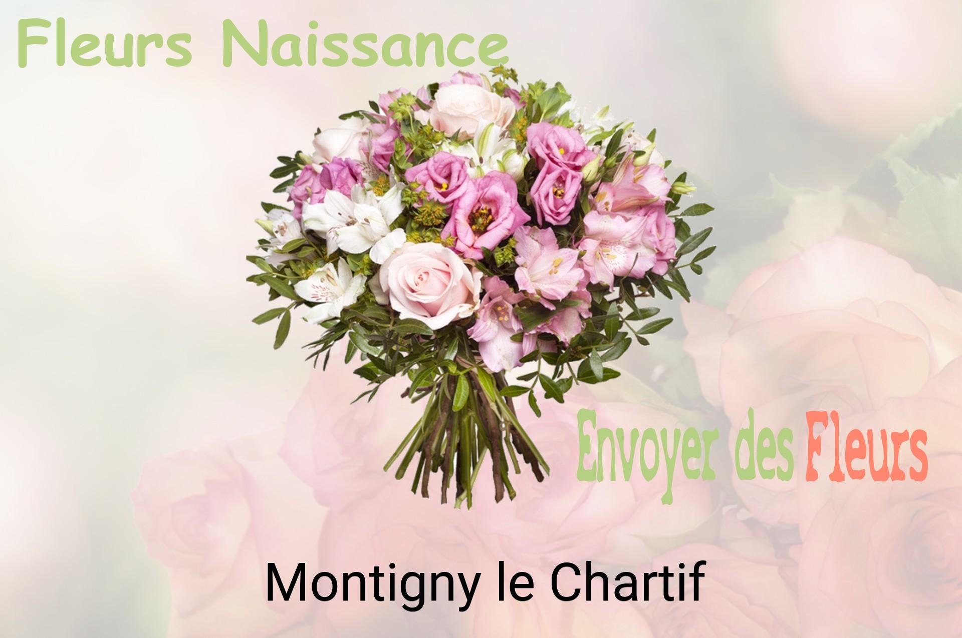 Bouquet de fleurs de naissance livré à Montigny-le-Chartif